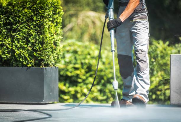 Best Soft Washing  in Mount Airy, MD